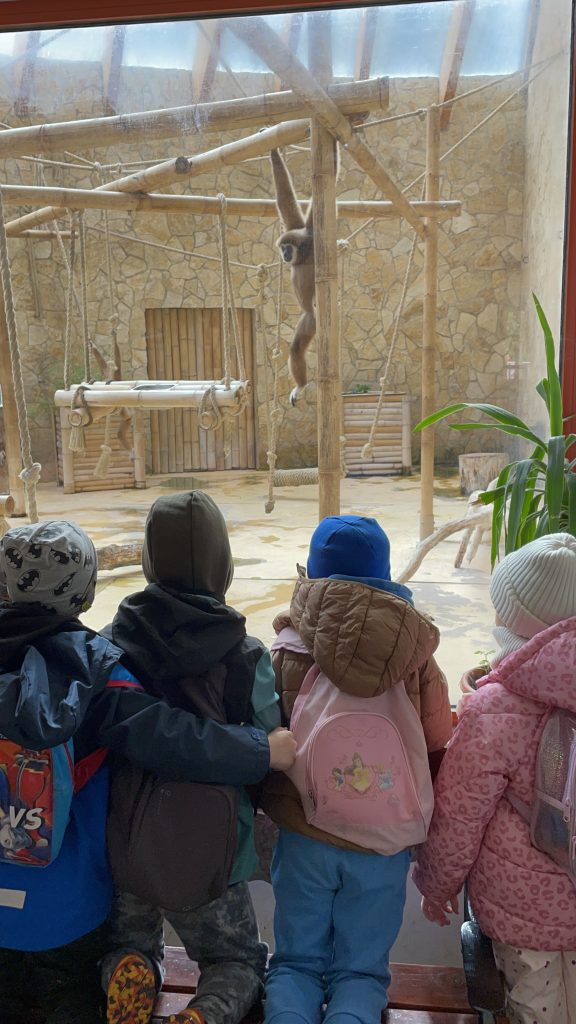 Az aktuális képnek nincs alternatív szövege. A fájl neve: IMG_1269-scaled.jpg