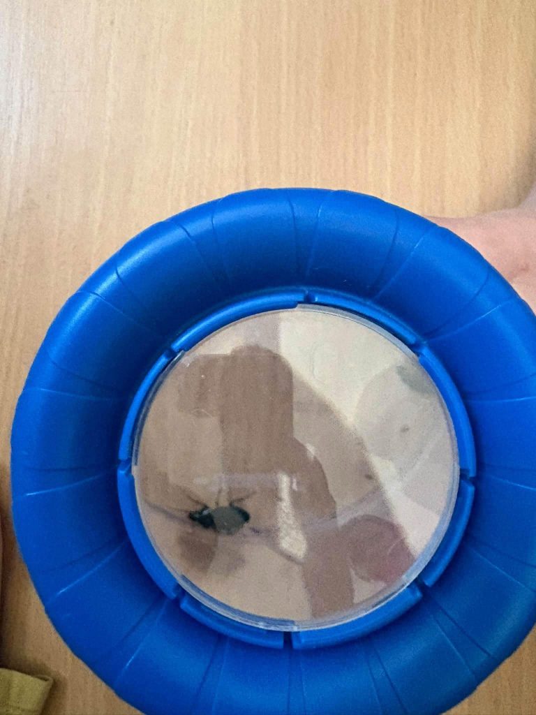 Az aktuális képnek nincs alternatív szövege. A fájl neve: 428217af-45e3-4165-887c-87428d809928.jpeg